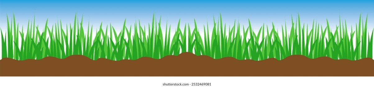 Blue background with green grass field design. Banner Vector illustration.