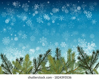 Blue background with snowflakes. Frame of spruce twigs. Merry Christmas. Vector illustration