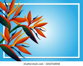 Plantilla de fondo azul con ilustración de flores birdofparadise