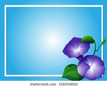 Blue background template with morning glory flowers illustration