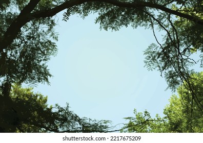 blue background with trees and leaves framing the sky