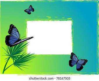 Blue background with two butterflies