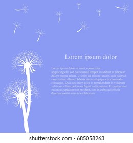 Blue background with white dandelion, fluff flying, Lorem ipsum stock vector illustration