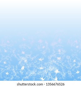Blue Background with White Dandelions