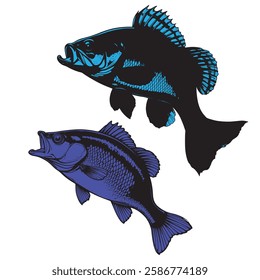 Blue Bass Fish Illustration vector – Dynamic Aquatic Artwork with Bold Colors and Detail. this image is ai generated"