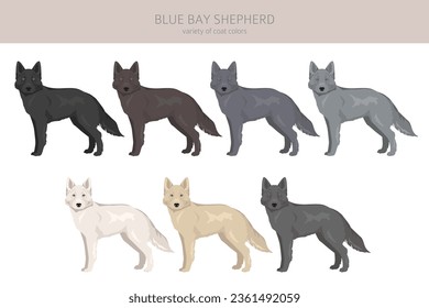 Blue Bay Shepherd clipart. Blue Shepherd wolf dog mix. Different coat colors set.  Vector illustration