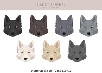 Blue Bay Shepherd clipart. Blue Shepherd wolf dog mix. Different coat colors set.  Vector illustration