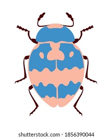 Blue and beige flat beetle. Isolated on white background. Vector illustration.