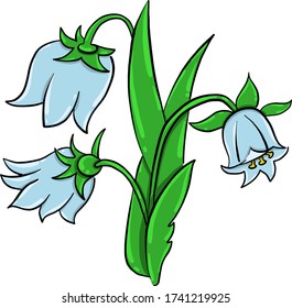 Flores de timbre azul , ilustración, vector sobre fondo blanco