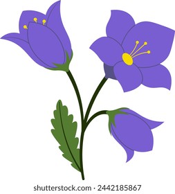 Blue Bell Spring Blossom Flowers Illustration