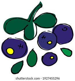 blue berries vector by hand