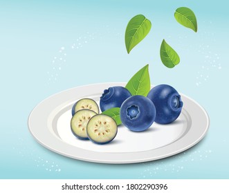 blue berries vector illustration with green leaves on light blue background