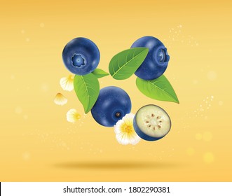 blue berries vector illustration  with berries leaves on yellow background