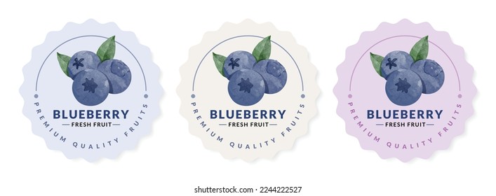 Blue berry packaging design templates, watercolour style vector illustration.