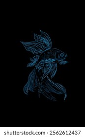 blue betta fish sketch illustration with black background