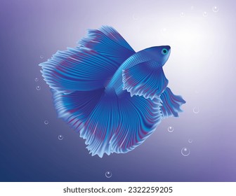 Blaue Bettfische (Siamesen, die Fische bekämpfen) auf Unterwasserhintergrund, Masche, Kreativkunst, Vektorgrafik