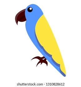 Blue big parrot icon. Cartoon of blue big parrot vector icon for web design isolated on white background