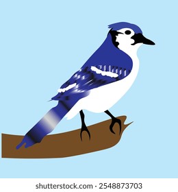 blue bira illustrated blue bird. a bird vector