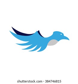 Blue bird
