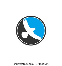 blue bird