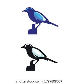 Blue Bird Animal Logo Design