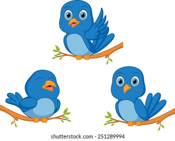 blue bird cartoon 
