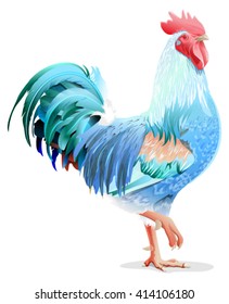 Blue bird cock. Rooster symbol 2017 year. Illustration