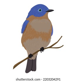 Blue Bird Flat Vector Illustration Clipart Isolated