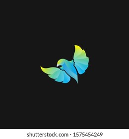 Blue Bird Logo design and icon design
