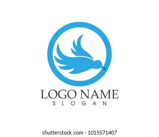 Blue bird logo design template