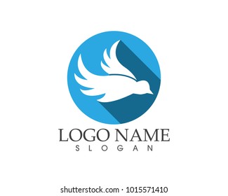 Blue bird logo design template