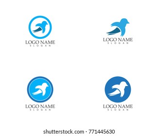 Blue bird logo design template