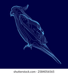 A blue bird with a long tail and a long beak. The bird is standing on a blue background