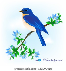 Blue bird sitting on a branch with flowers 