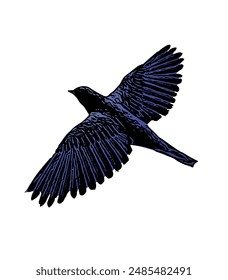 The blue bird vector ilustration design for logo, icon , template, educational 