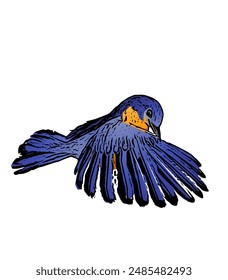 The blue bird vector ilustration design for logo, icon , template, educational 