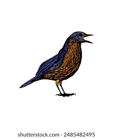 The blue bird vector ilustration design for logo, icon , template, educational 
