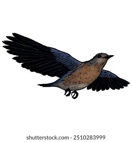 Blue bird vector ilustration design isolated template 