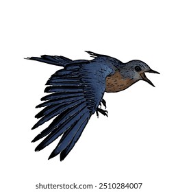 Blue bird vector ilustration design isolated template 