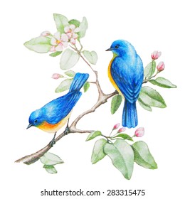 blue birds