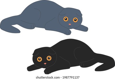 Blue and black Scottish cat in the set.