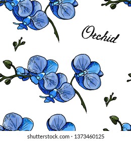blue blooming orchid 
