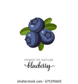 Blue blueberry berry flat icon with inscription colorful vector illustration of eco food isolated on white. 