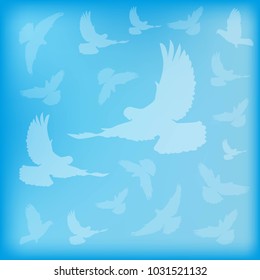 blue blurred background birds doves silhouettes of different sizes