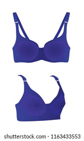 Blue bra. vector illustration