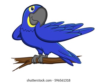 Blue brazilian macaw parrot vector