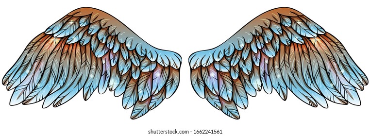 Blue brown magic glowing beautiful glittery wings, vector