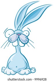Blue Bunny