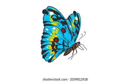 Blue butt. Vector Kid drawing with white background 