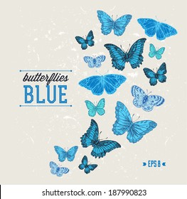 Blue Butterflies